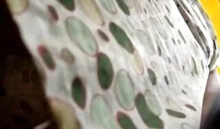 سالمندان زن و شوهر برخوردار صبح فیلم پورن داستانی 69 و